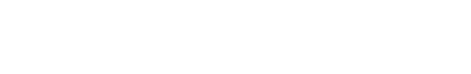 BIGG JOEL